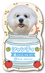 犬のペット名刺