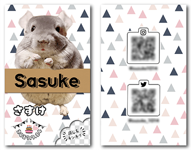 チンチラのペット名刺