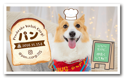 長方形ペット名刺の表面画像