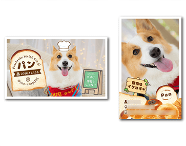 犬のペット名刺