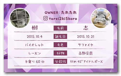 長方形ペット名刺の裏面画像