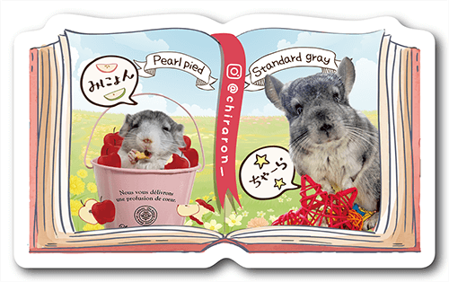 型抜きペット名刺の画像1