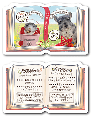 チンチラ（多頭飼い）のペット名刺