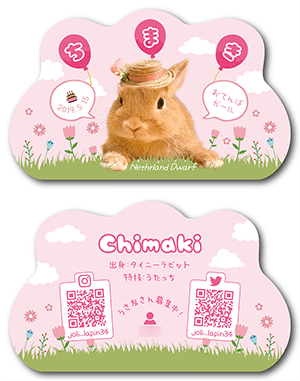 うさぎのペット名刺