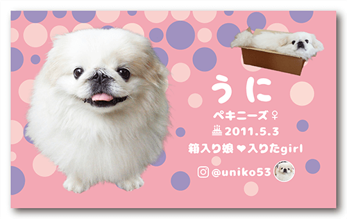 犬の長方形ペット名刺画像