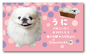 犬のペット名刺