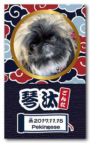 ペット名刺の表面画像
