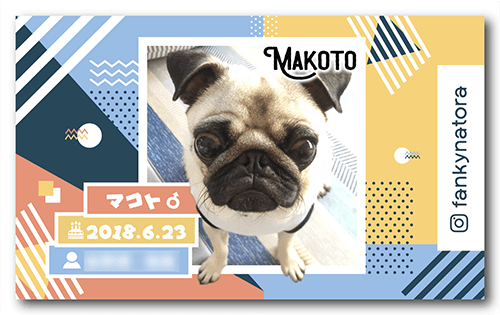 犬の長方形ペット名刺画像