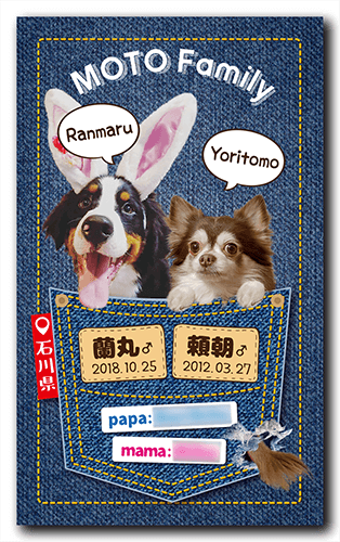 ペット名刺の表面画像