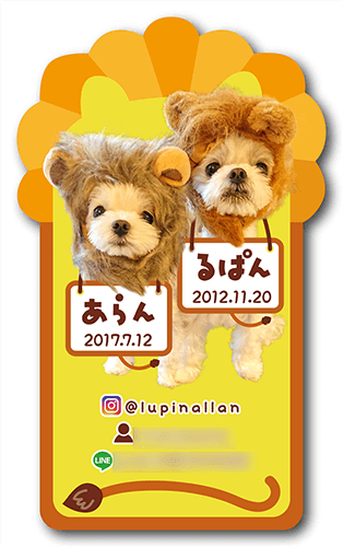 長方形ペット名刺の表面画像