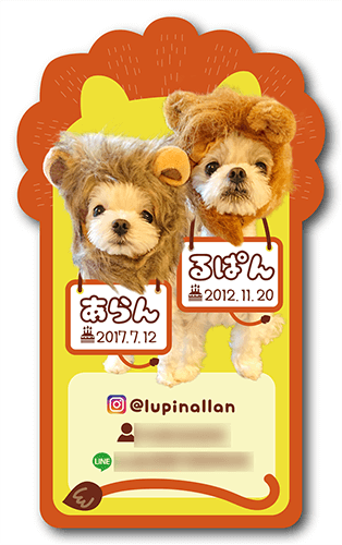 長方形ペット名刺の裏面画像
