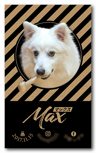 長方形ペット名刺画像