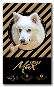 犬のペット名刺