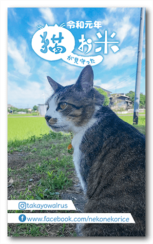 ペット名刺の表面画像