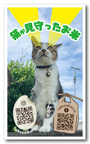 ペット名刺の裏面画像