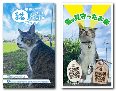 猫のペット名刺2種