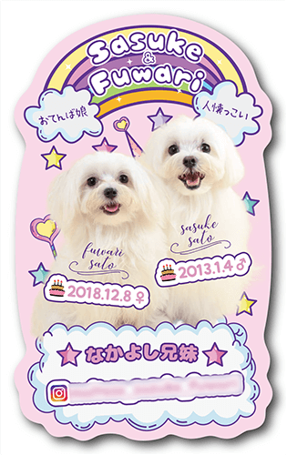 型抜きペット名刺画像