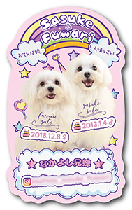 うさぎ（多頭飼い）のペット名刺