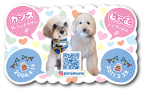 型抜きペット名刺の表面画像