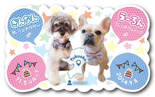 型抜きペット名刺の裏面画像