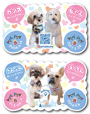 犬（多頭飼い）のペット名刺