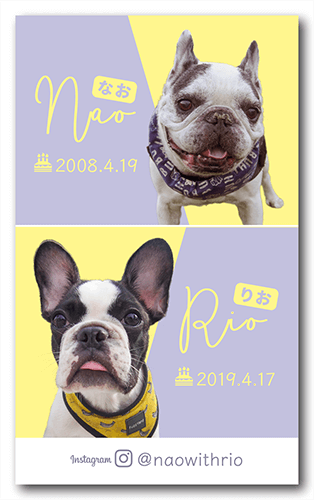 犬（多頭飼い）のペット名刺画像