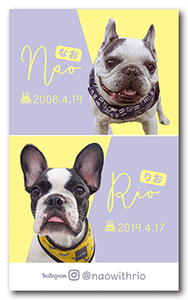 犬（多頭飼い）のペット名刺