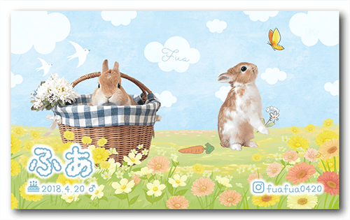 うさぎの長方形ペット名刺画像