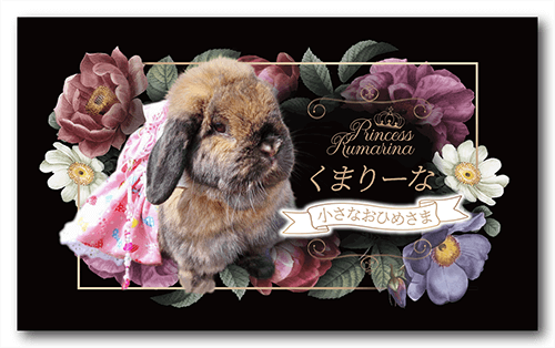 長方形ペット名刺の表面画像