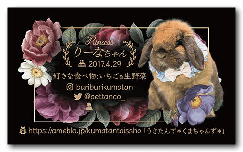 長方形ペット名刺の裏面画像