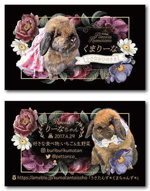 うさぎのペット名刺