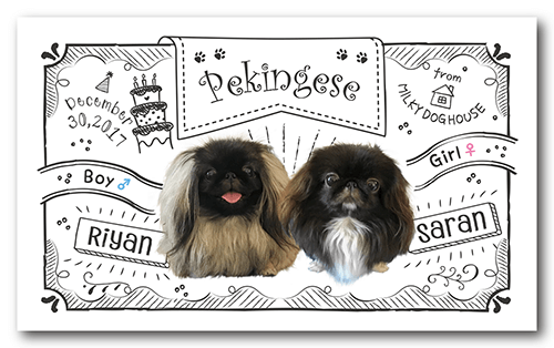 ペット名刺の表面画像