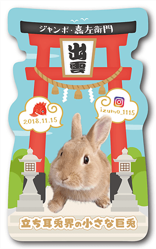 長方形ペット名刺の表面画像