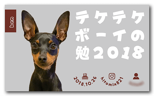 犬の長方形ペット名刺画像