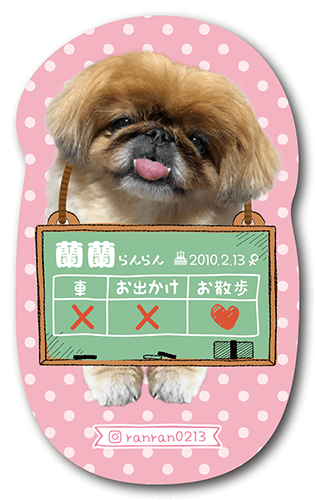 長方形ペット名刺の表面画像