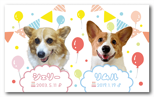 長方形ペット名刺の表面画像