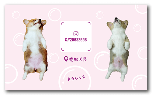 長方形ペット名刺の裏面画像