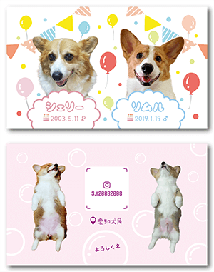 犬（多頭飼い）のペット名刺