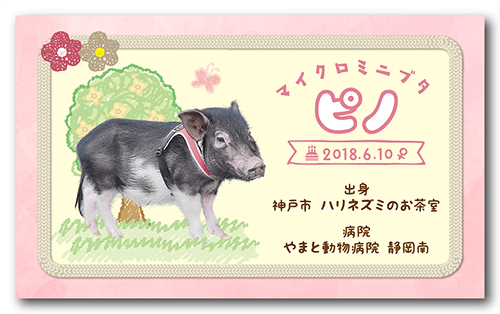 長方形ペット名刺の表面画像
