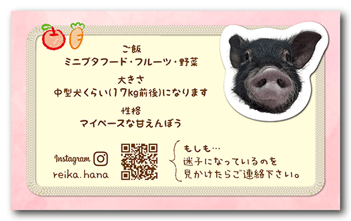 長方形ペット名刺の裏面画像