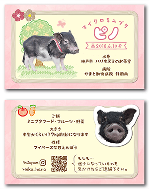 ミニブタのペット名刺