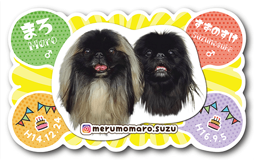 型抜きペット名刺の表面画像