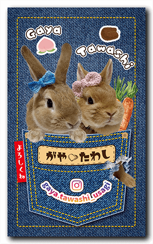 ペット名刺の表面画像