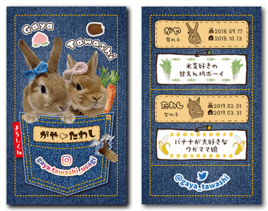 うさぎ（多頭飼い）のペット名刺
