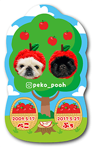 犬（多頭飼い）のペット名刺