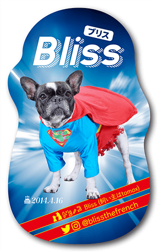 型抜きペット名刺の表面画像