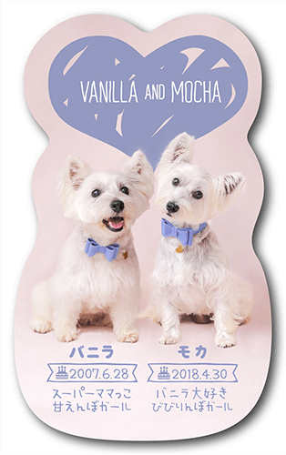 型抜きペット名刺の表面画像