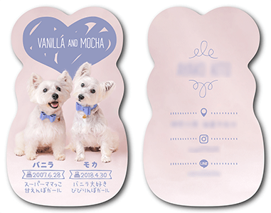 犬（多頭飼い）のペット名刺