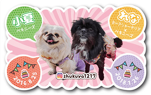 型抜きペット名刺の表面画像