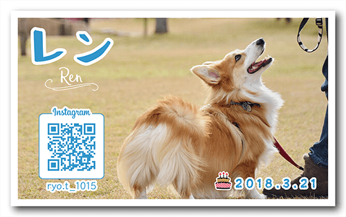長方形ペット名刺の表面画像